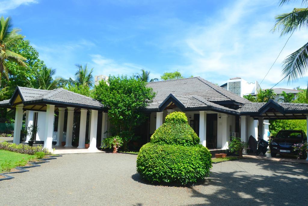 Camellia Dwelling Bed & Breakfast Hikkaduwa Exterior photo