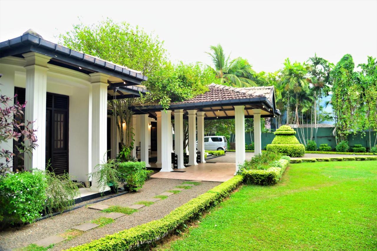 Camellia Dwelling Bed & Breakfast Hikkaduwa Exterior photo